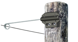 5mm Live Tip Pigtail Offset