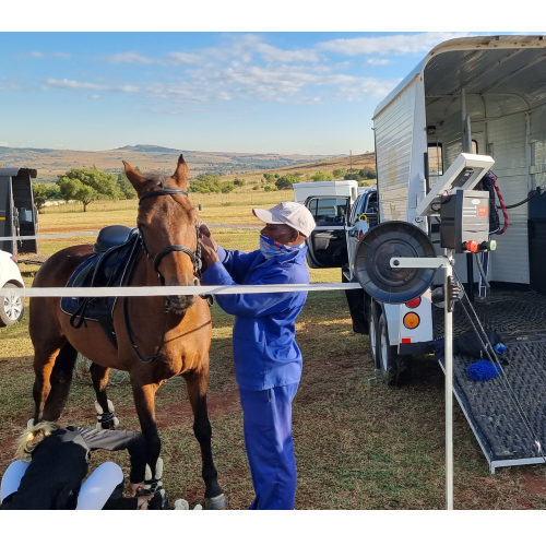 JVA Portable Horse Paddock Kit - Stafix Electric Fence Centres
